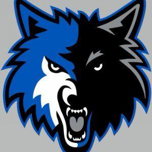 Blue Wolf Logo - Team Blue Wolf Gaming Unknown Battlegrounds (PUBG) is