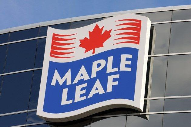 Maple Leaf Foods Logo - Maple Leafs Foods to Leave Brampton With $34.5 Million Grant From ...