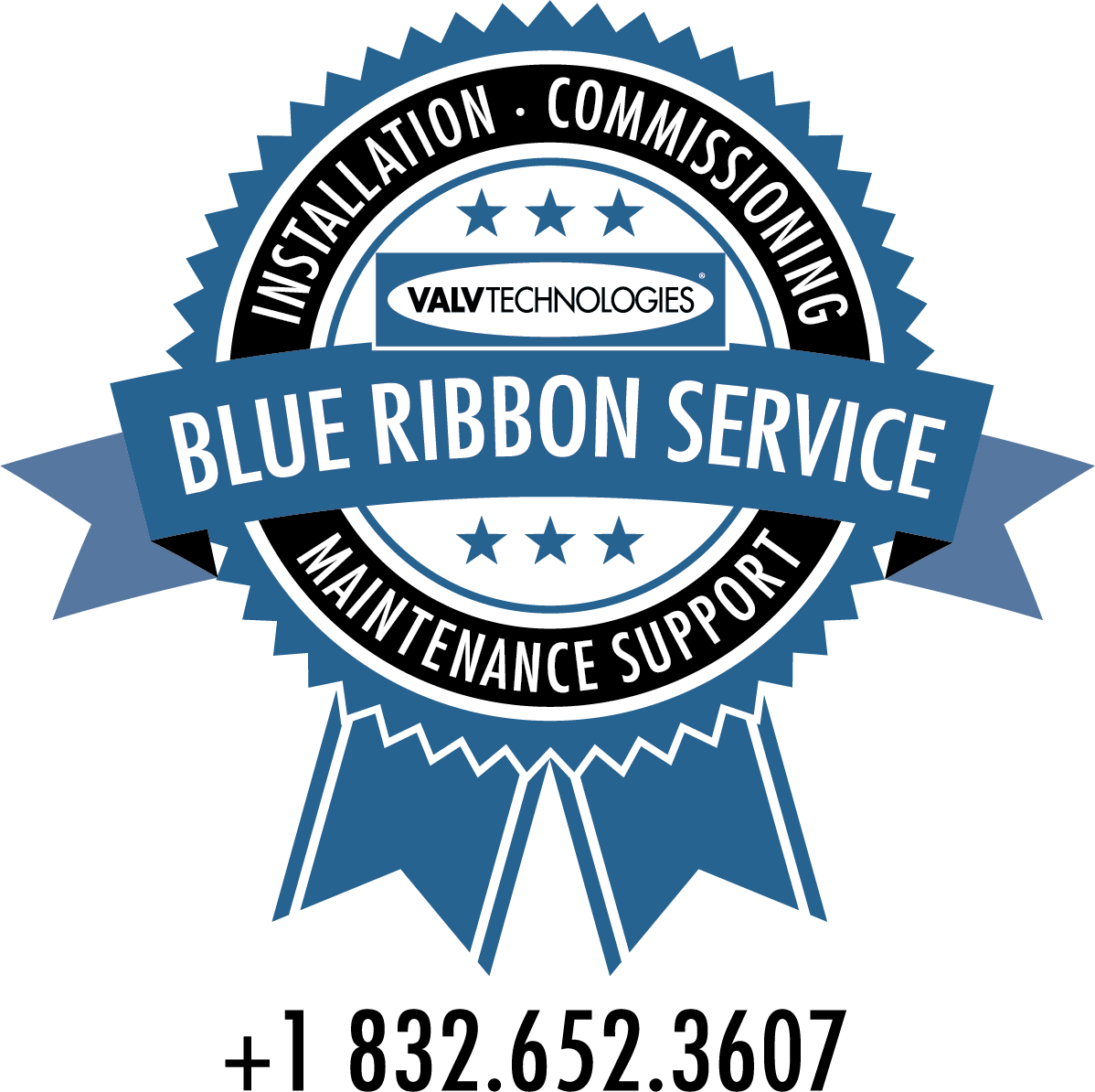 Blue Ribbon Logo - Blue Ribbon Service onsite support between shipment and operation