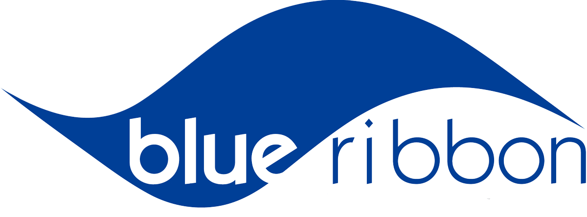 Blue Ribbon Logo - Blue Ribbon Parent Program - Leadership Preparatory Academy