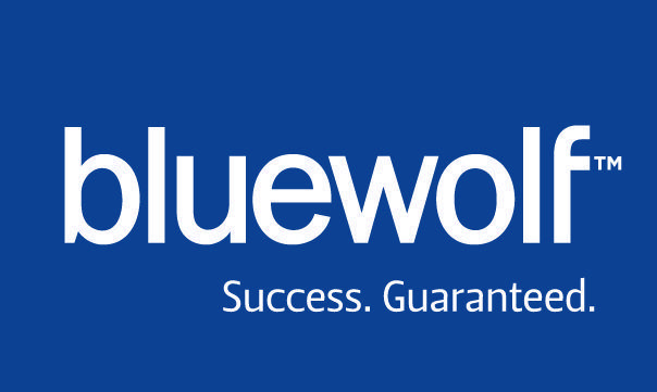 Blue Wolf Logo - Bluewolf « Logos & Brands Directory