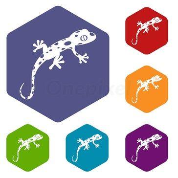 Rhombus FC Logo - Chameleon icons set