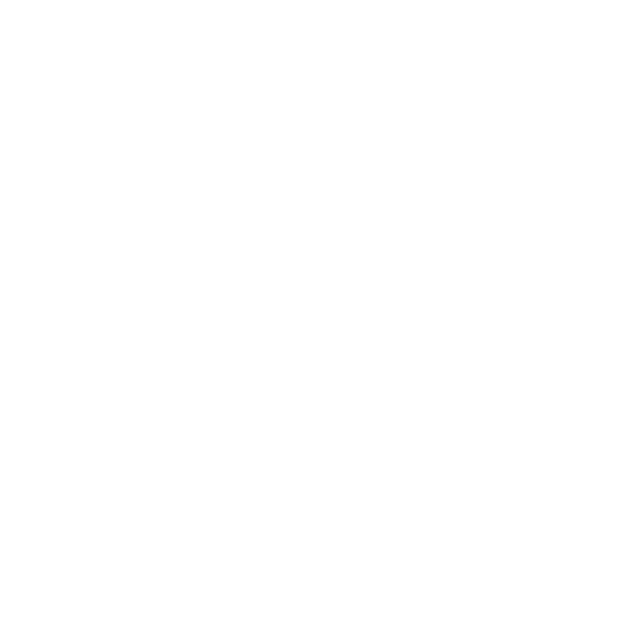 Canada White Logo - Explore careers at Air Canada | Raise Your Flag
