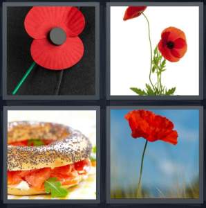 5 Leters Red and Yellow Burger Logo - 4 Pics 1 Word Answer for Button, Flower, Bagel, Petals | Heavy.com