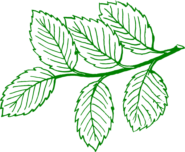 Ash Leaf Logo - Ash Leaf Clip Art at Clker.com - vector clip art online, royalty ...