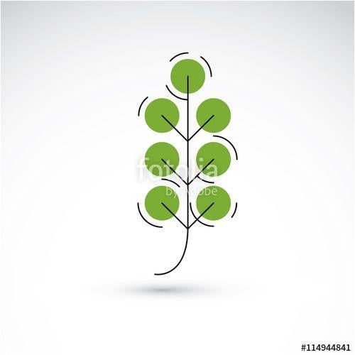 Ash Leaf Logo - Vector illustration of green ash leaf isolated on white backgrou ...