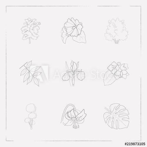 Ash Leaf Logo - Set of flora icons line style symbols with tropical leaf, ash leaf ...