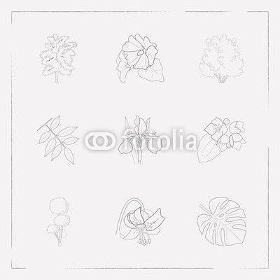 Ash Leaf Logo - Set of flora icons line style symbols with tropical leaf, ash leaf ...