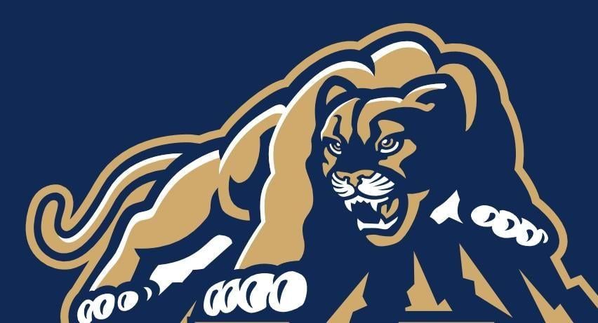 Cool Cougars Logo - Students Vote The Cougar School Mascot
