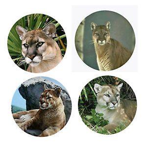 Cool Cougars Logo - Cougar Magnets: 4 Way Cool Cougars 4 Your Fridge Or Collection A