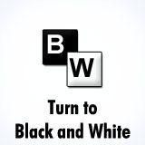 Black and White B Logo - Turn a picture to Black & White online → ConvertImage
