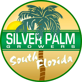 Silver Palm Logo - Silver Palm Growers