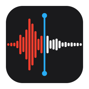 Google Voice iPhone App Logo - Use the Voice Memos app