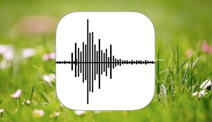 Google Voice iPhone App Logo - How to Record Voice Memos & Audio on iPhone