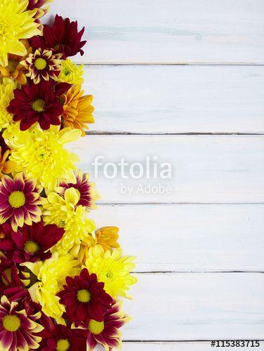 Red White and Yellow Flower Logo - A page border made up of orange, red and yellow flowers on a white ...