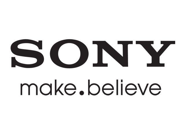 Sony Business Logo - Job