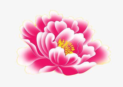 Red White and Yellow Flower Logo - Bright Red Peony, Pink, White Border, Yellow Flower PNG Image