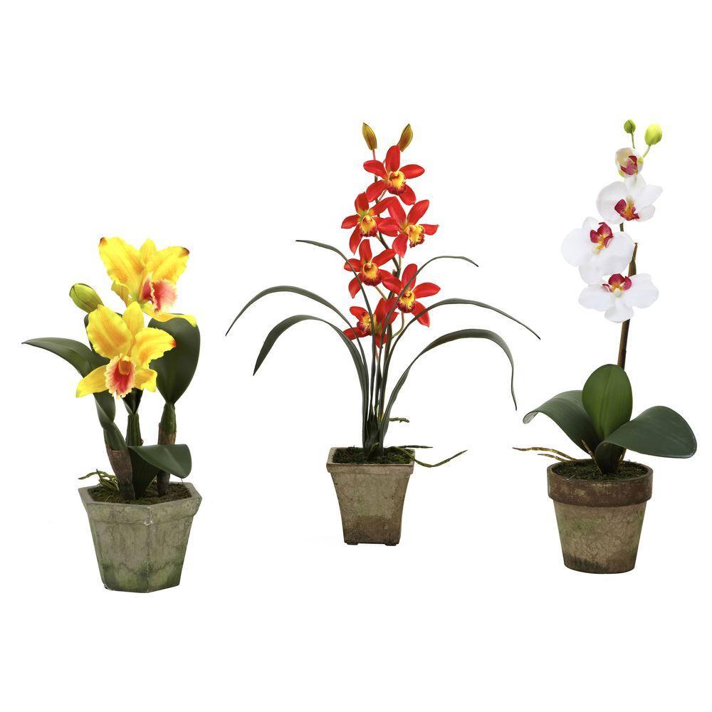 Red White and Yellow Flower Logo - Nearly Natural Potted Orchid Mix In Yellow Red White (Set Of 3)-4985