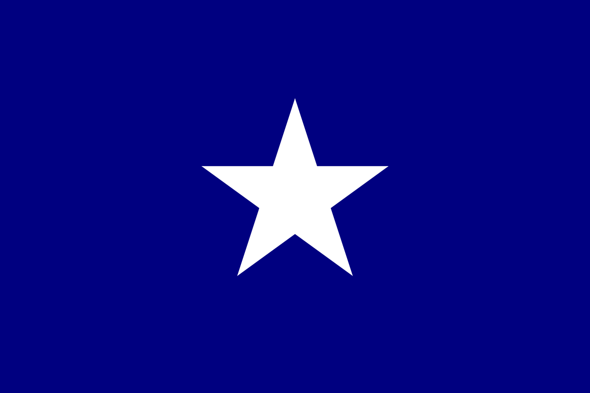 Blue and White P Logo - Bonnie Blue Flag