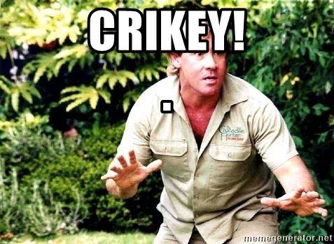 Crocodile Hunter Crikey Logo - Crikey! . - Crocodile hunter steve | Meme Generator