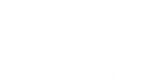 Street Mountain Logo - Bays Mountain Park and Planetarium - Kingsport, Tennessee