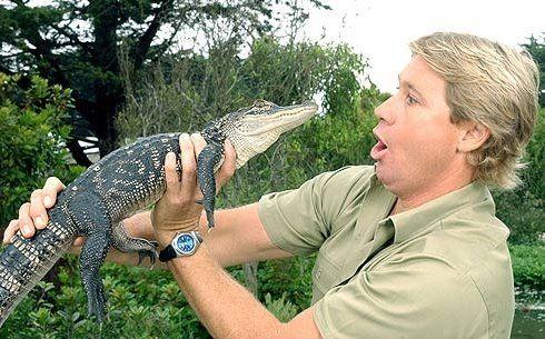 Crocodile Hunter Crikey Logo - Scott's Spot: Crikey! Crocodile Hunter Steve Irwin Dead