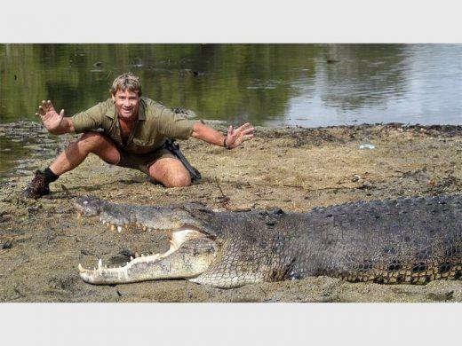 Crocodile Hunter Crikey Logo - Crikey means gee whiz, wow!' - 10 typically Stevie quotes to ...