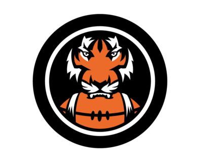 Bengals Football Logo - NFL fans don't like the Bengals' logo. Here's how it can be improved ...