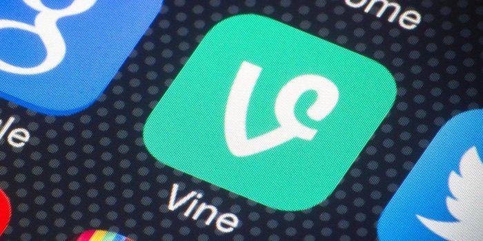 Cool Vine Logo - 7 Cool Social Apps That Are Changing the Way We See Ourselves