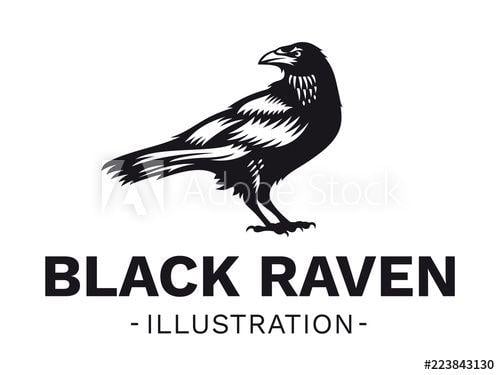 American Crow Logo - Raven bird illustration, logo, emblem black and white, one