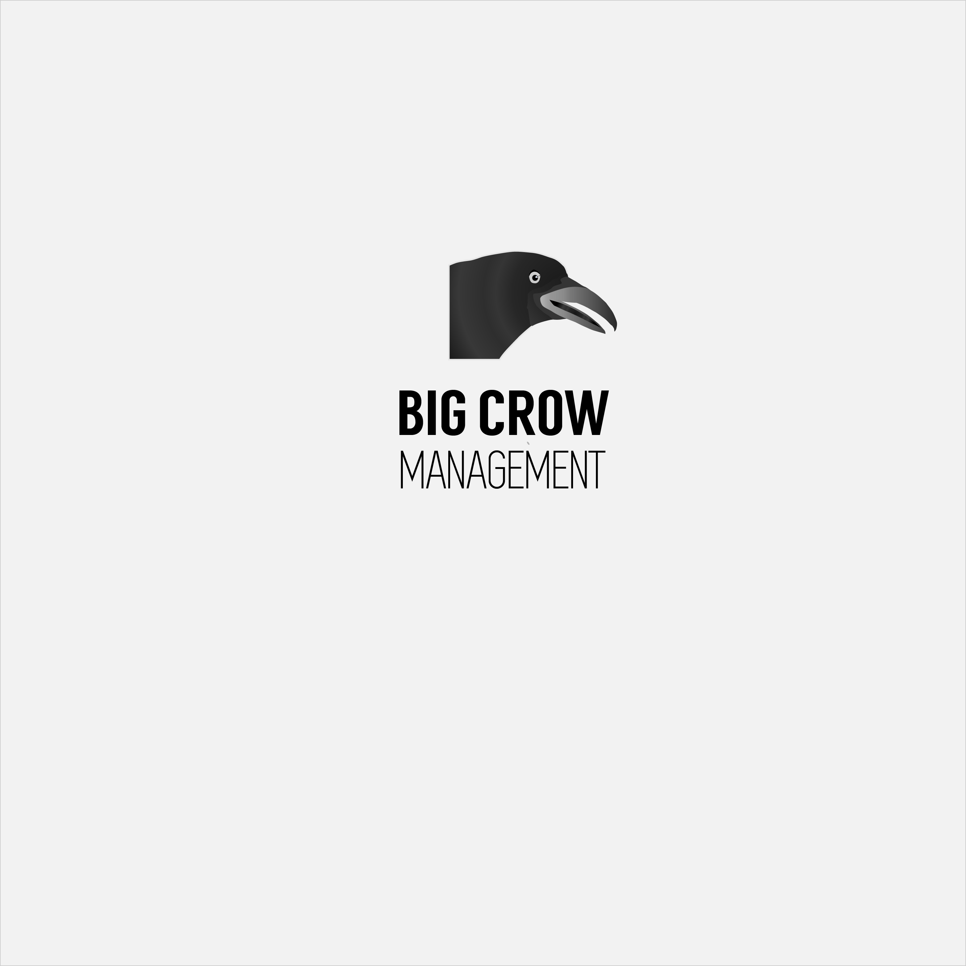 American Crow Logo - Logo Design. 'Big Crow Management' design project
