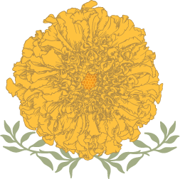 Marigold Flower Logo - EMAIL LOGO