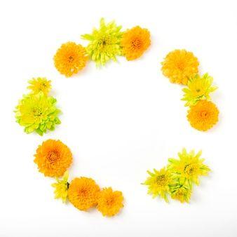 Marigold Flower Logo - Marigold Vectors, Photos and PSD files | Free Download