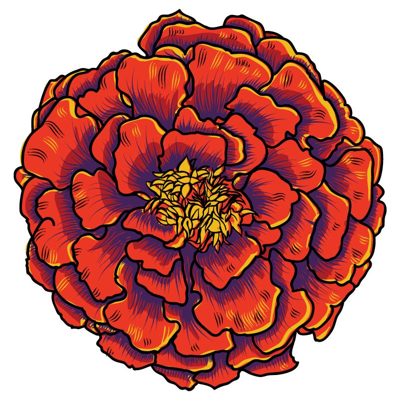 Marigold Flower Logo - Who We Are