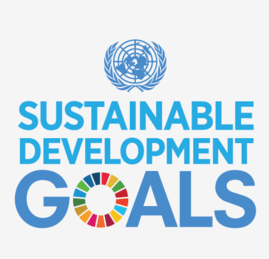 Un Agenda 21 Logo - Sustainable Development Goals