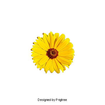 Marigold Flower Logo - Marigold PNG Image. Vectors and PSD Files. Free Download on Pngtree