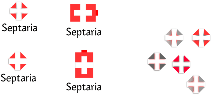 Swiss Cross Logo - The making of the Septaria logo