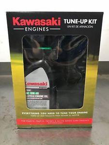 Kawasaki Engines Logo - Kawasaki Engine Tune Up Kit #99969-6425 for FR651V FR691V FR730V ...