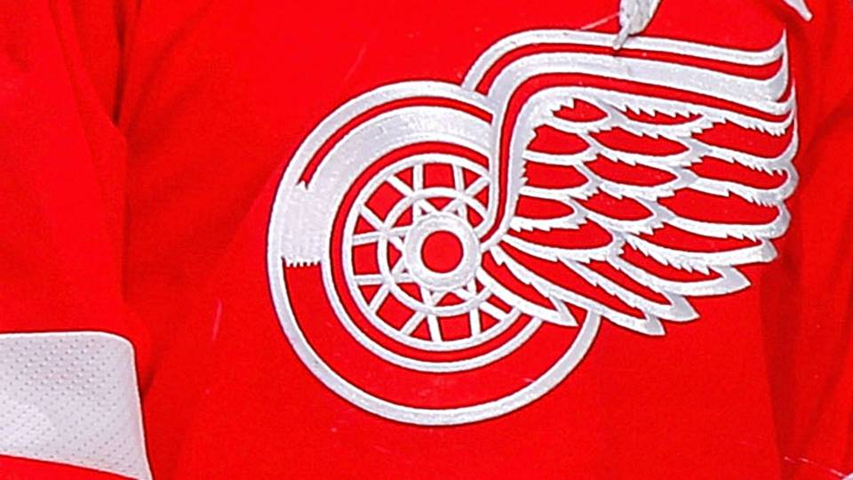 Detroit Red Wings D-Logo Logo - NHL, Red Wings considering legal action after team logo used at ...