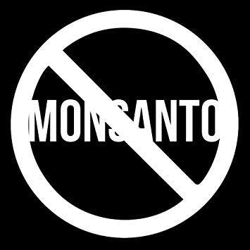 Monsanto Oval Logo - Amazon.com: Anti Monsanto GMO Foods Vinyl Sticker Car Decal (6 ...
