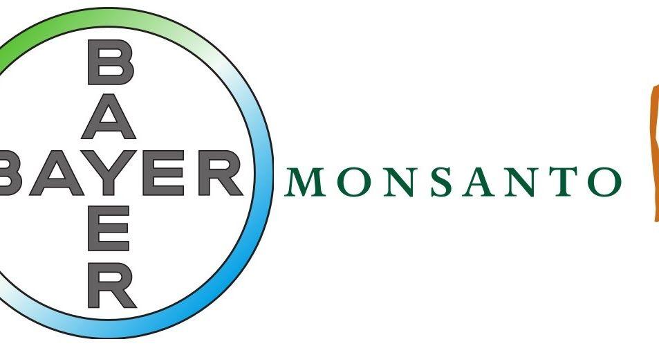 Monsanto Oval Logo - Nat's Journal: Will The Bayer Monsanto Deal Submerge The Anti GMO