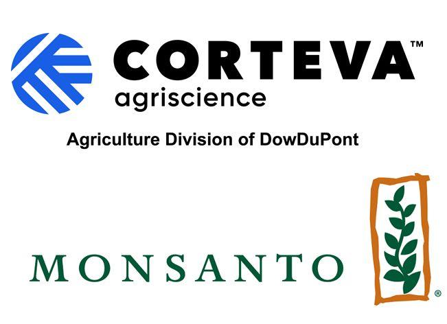 Monsanto Oval Logo - AgroPages-Corteva and Monsanto sign licensing agreement on corn ...