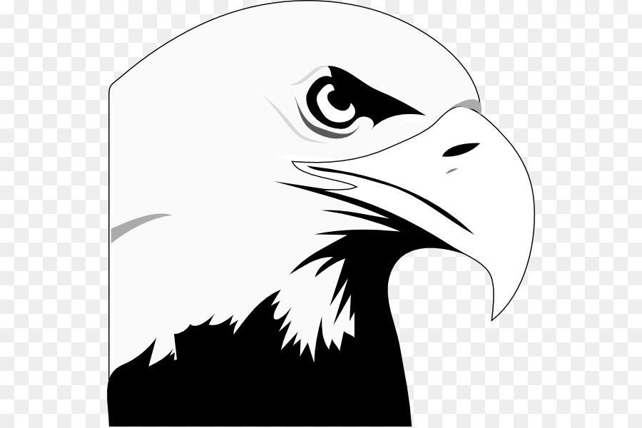 White and Blue Eagle Logo - Bald Eagle White-tailed Eagle Clip art - Flying Eagle Clipart png ...
