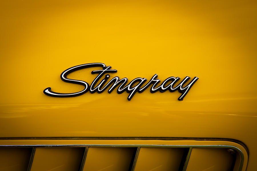 Stingray Corvette Old Logo - Chevrolet Corvette Stingray Emblem Photograph