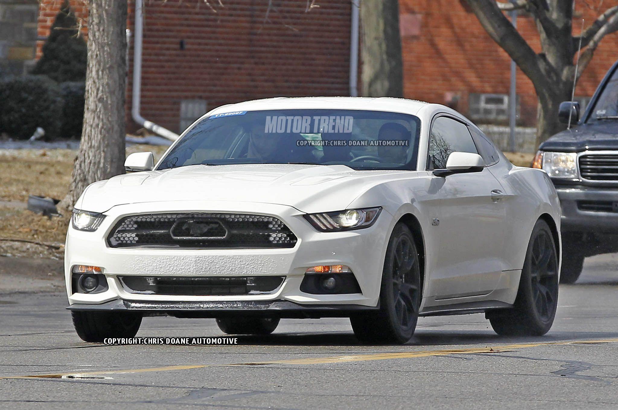 Ford Mustang 50th Anniversary Logo - 2015 Ford Mustang GT 50th Anniversary Caught Prowling the Streets ...