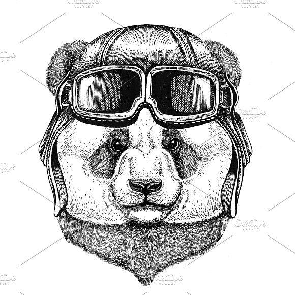 Panda Bear Logo - Panda bear, bamboo bear wearing leather helmet Aviator, biker ...
