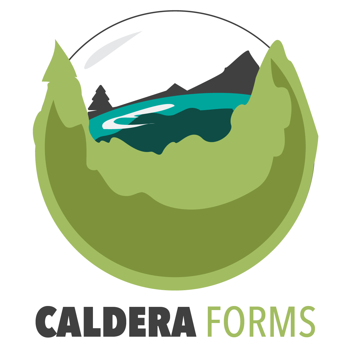 Google Forms Logo - caldera_forms_validate_field_{field_type} - WordPress Form Builder ...