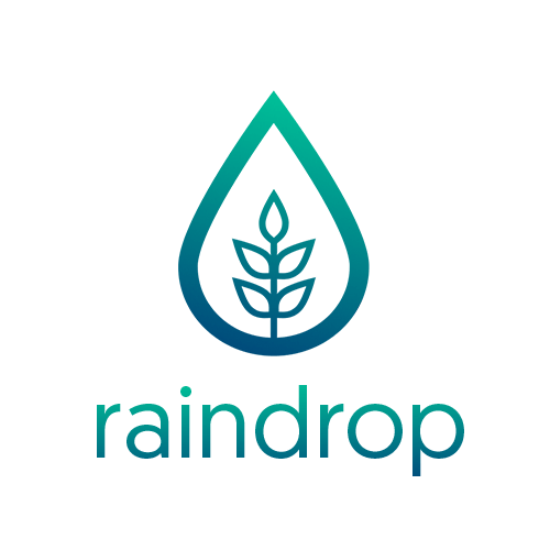 Rain Drop Logo - Raindrop Digital Limited Client Reviews | Clutch.co