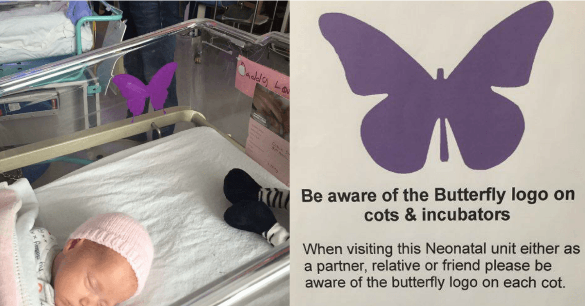 Purple Butterfly Logo - The Story Behind These Purple Butterfly Stickers