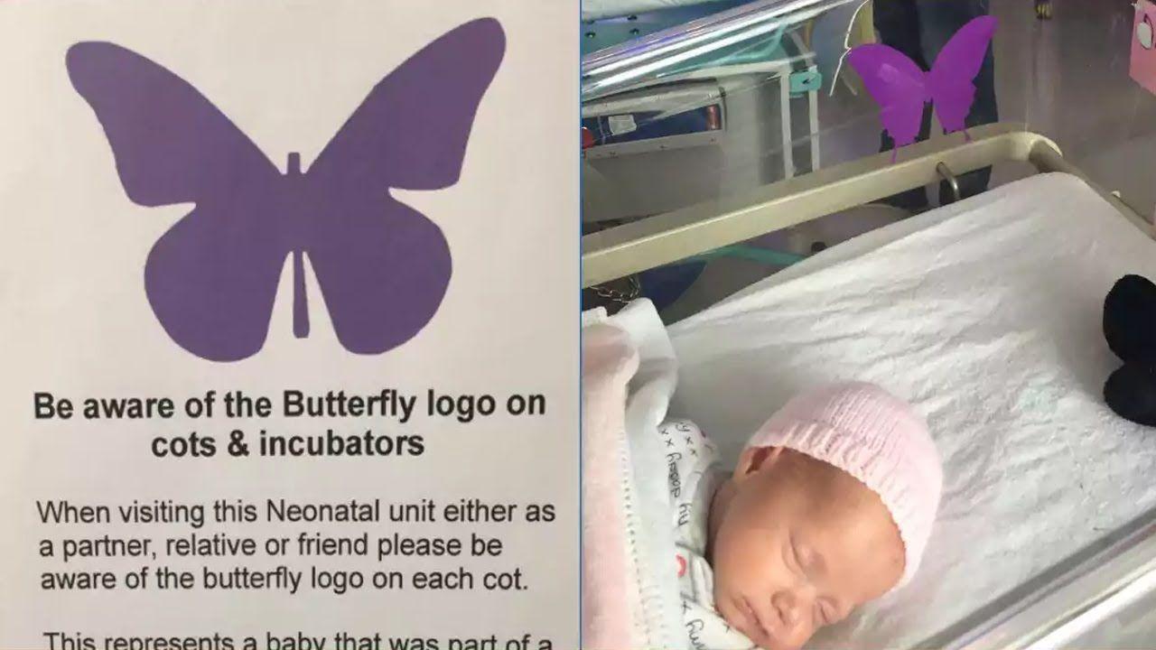 Purple Butterfly Logo - See a 'Purple Butterfly' Sign on Baby's Crib? Don't Dare Ask About ...
